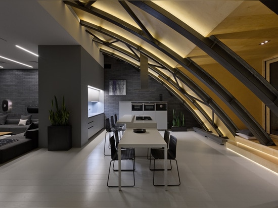 The Roof Structure Was Turned Into A Decorative Element In This Apartment