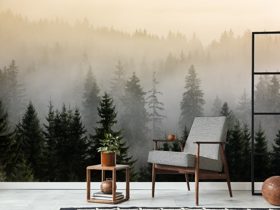 Forest wallcoverings inspiration