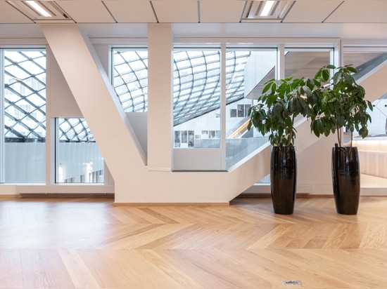 Dennebos Flooring engineered prime grade Chevron in color N.09