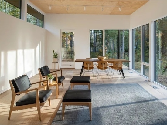 The main living room, with its high ceilings and woodland views