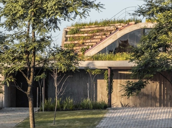 A House That Rises From The Ground Forming A Three-Level Garden