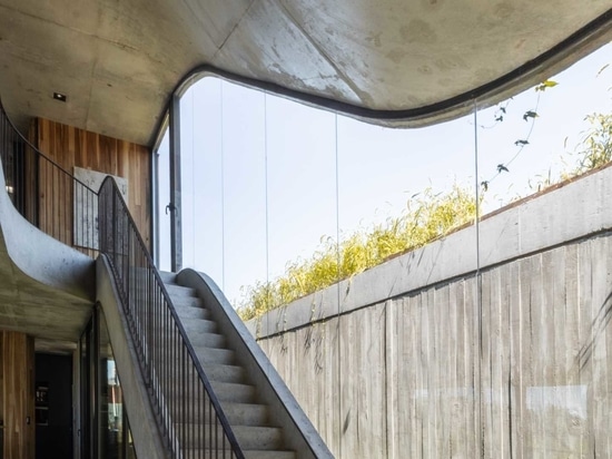 A House That Rises From The Ground Forming A Three-Level Garden