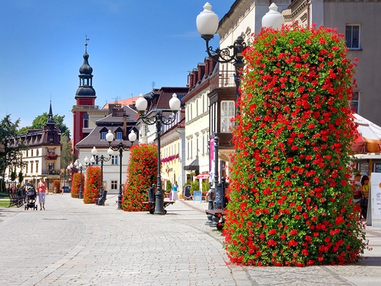 Floral Towers: Vertical Gardens Redefining Urban Green Spaces