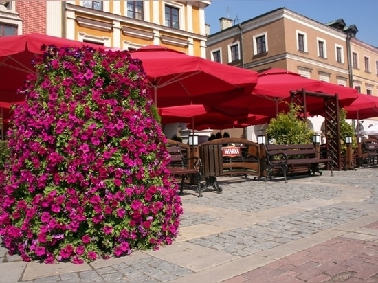 Floral Towers: Vertical Gardens Redefining Urban Green Spaces
