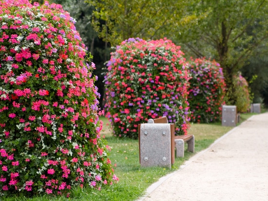 Floral Towers: Vertical Gardens Redefining Urban Green Spaces