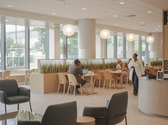 The narrow space includes dining counters that incorporate framed, translucent glazed planters