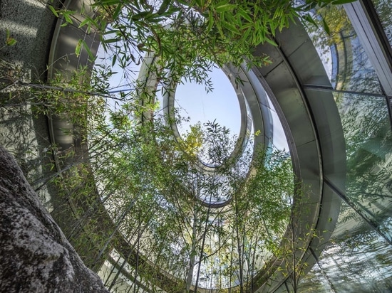 A New Cafe In South Korea That’s Inspired By A Walk In Nature
