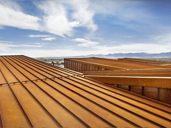 Butterfly Roof