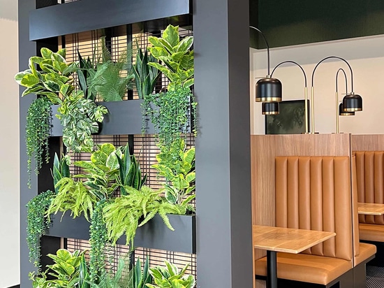 The indoor planter features the Banker WDZ-539 welded wire mesh as a trellis in this coworking space.