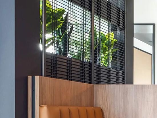 The indoor planter features the Banker WDZ-539 welded wire mesh as a trellis in this coworking space.