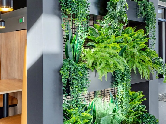 The indoor planter features the Banker WDZ-539 welded wire mesh as a trellis in this coworking space.
