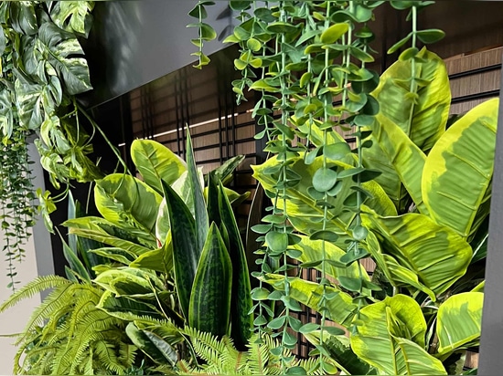 The indoor planter features the Banker WDZ-539 welded wire mesh as a trellis in this coworking space.