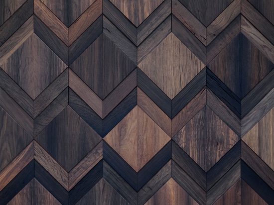 Wonderwall Studios - Clue Bog Oak