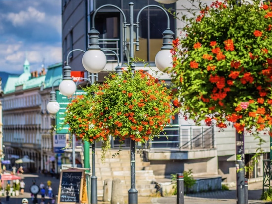 Lamp Post Planters: Blooming Above the Streets