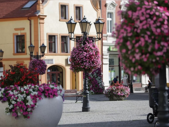 Lamp Post Planters: Blooming Above the Streets