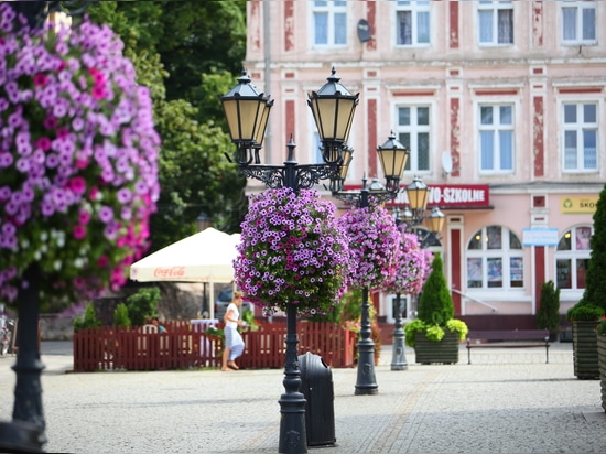 Lamp Post Planters: Blooming Above the Streets