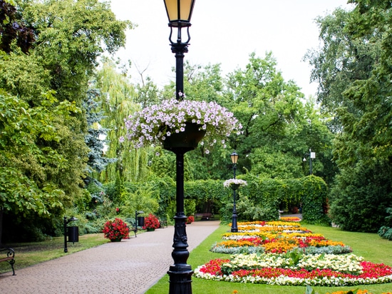 Lamp Post Planters: Blooming Above the Streets
