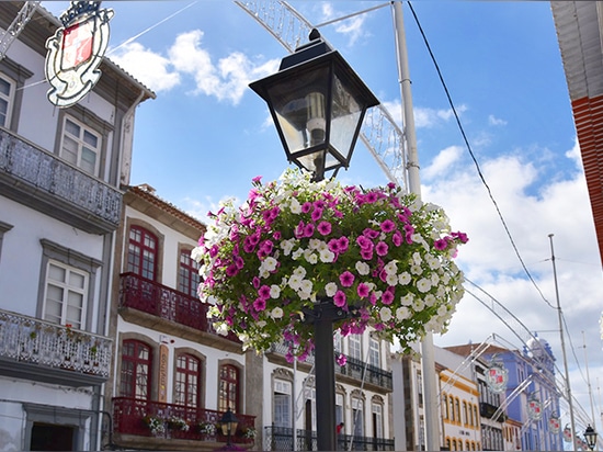 Lamp Post Planters: Blooming Above the Streets
