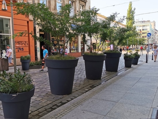 Urban Elegance in Monochrome: Oversized Planters for Modern Cityscapes
