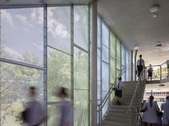 The circulation experience becomes the DNA of the school's architecture, connecting students and staff to landscapes and natural light.
