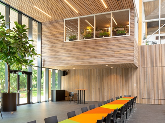 Koning Willem II College, Rotterdam