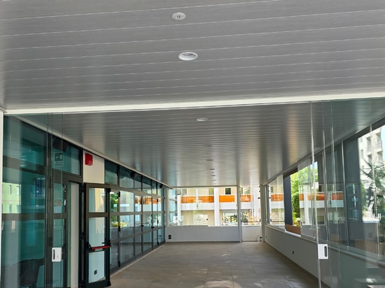 Atena Linear Staves
