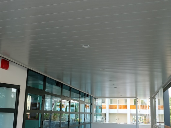 Atena Linear Staves