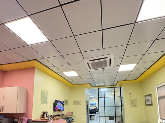 Atena Metal Panels on Visible Structure