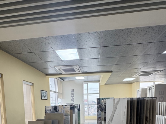 Atena Metal Ceiling
