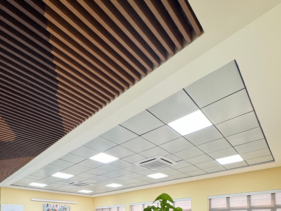Atena Metal Ceilings