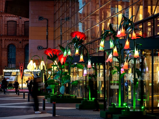 Summer Cities in Bloom and Light: A New Era of Urban Illuminations