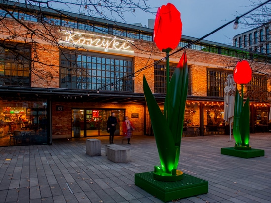 Summer Cities in Bloom and Light: A New Era of Urban Illuminations