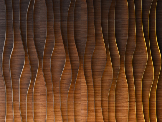 Mesmerizing Waves of VATA
