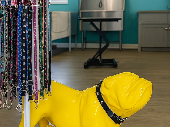 Playful Statement Pieces in Fiberglass Transform Commercial Interiors