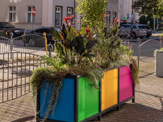 Custom Color and Civic Impact in the Language of Planters