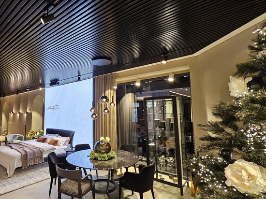 Atena metal ceiling staves