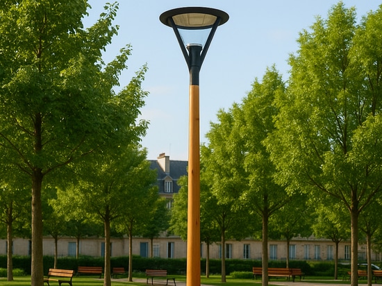 Round wooden mast for street lighting