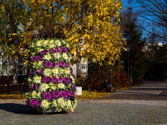 Autumn trend: flower towers planted with ornamental cabbage