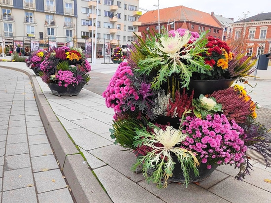 Autumn trend: flower towers planted with ornamental cabbage