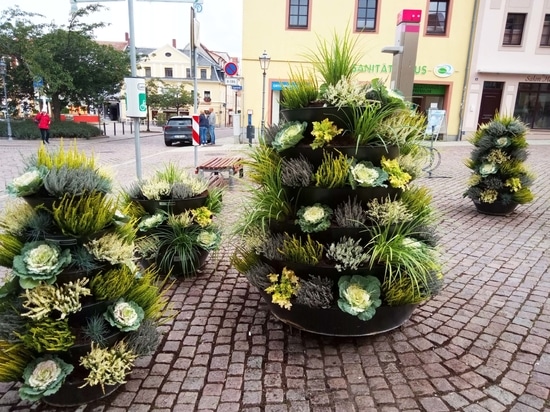 Autumn trend: flower towers planted with ornamental cabbage