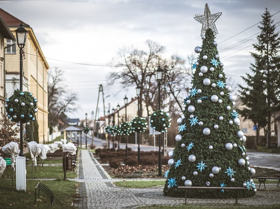 The Christmas tree: a must-have in city centers