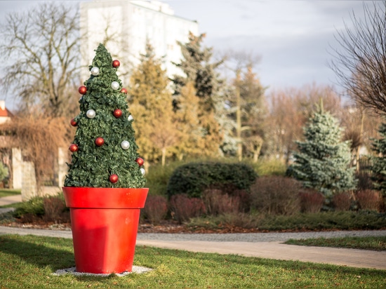 The Christmas tree: a must-have in city centers