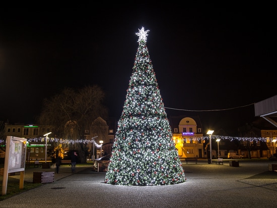 The Christmas tree: a must-have in city centers