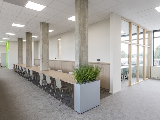 Inside the architect's mind
