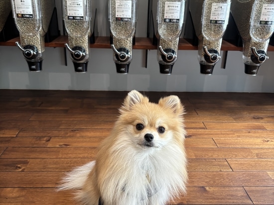 Fresh Design and Functionality Meet in Tokyo: Coffee Bean Dispensers at Green Bean Coffee