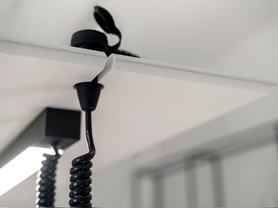 PLUQ IN – Raw Energy. Plugged into Design.