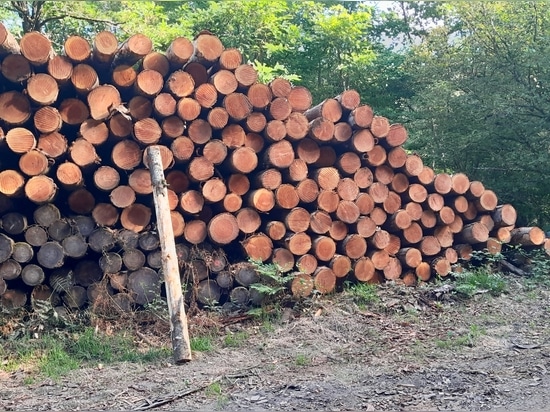 Coastal Protection & Landscape Design: Douglas Excellence by Woodspars