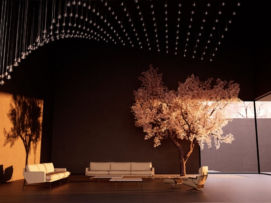 Mizu Bespoke composition