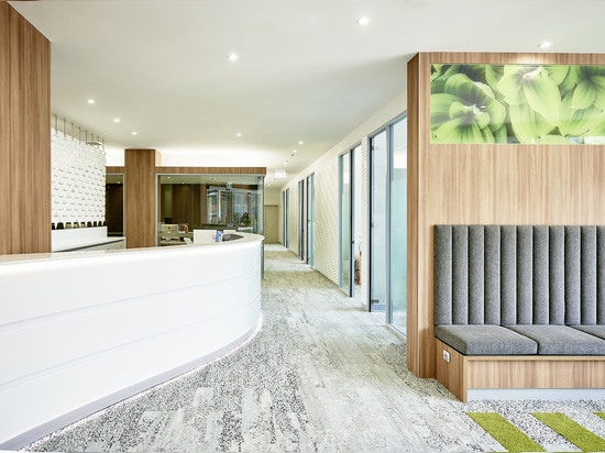A bespoke office front desk design for a healthcare environment