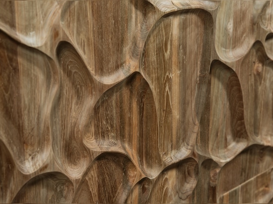 Wonderwall Studios - Dune Teak